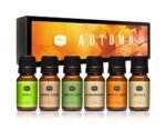 P&J Fragrance Oil Autumn Set | Brown Sugar, Apple, Harvest Spice, Vanilla, Forest Pine, and Snickerdoodle Candle Scents for Candle Making, Freshie, Soap Making Supplies, Diffuser Oil Scents