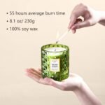 Chloefu LAN Balsam & Cedar Scented Candle – Luxury 8.1oz Christmas Gift, Lasts 55 Hours, Highly Scented! - Image 2