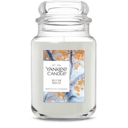 Yankee Candle Silver Birch, Holiday Scented Candle, 22oz Large Jar with up to 150 Hour Burn Time, Giftable