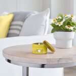 MRS. MEYER'S CLEAN DAY Soy Tin Candle - Daisy Scent, 2.9 oz, 12-Hour Burn with Soy Wax & Essential Oils - Image 6