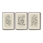 Large Framed Botanical Wall Art Set: 3 Neutral Plant Canvas Prints for Living Room, Farmhouse Decor, 20x30 inches. - Image 9
