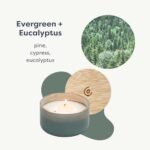 Calyan Wax Co. Evergreen & Eucalyptus 3 Wick Candle - 30 Hour Burn - Luxury Soy Wax in Ceramic Jar - 8oz Non-Toxic Home Candle - Image 2
