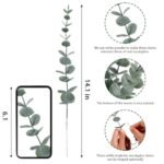 CEWOR 24pcs Artificial Eucalyptus Stems – Perfect for Wedding Centerpieces & Spring Home Decor. - Image 3