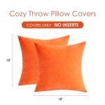 GriNeed Set of 2 Fall Orange Velvet Throw Pillow Covers, 18x18 Inch, Soft Burnt Orange Cushion Cases for Sofa, Living Room, and Boho Farmhouse Decor. - Image 2