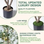 5FT Olive Tree Indoor Decor: Faux Olive Tree with Lights, Moss, and Natural Wood Planter. - Image 6