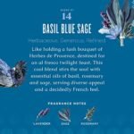 Caldrea Linen and Room Spray Air Freshener, Essential Oils & Plant-Derived Ingredients, Basil Blue Sage, 16 oz - Image 4