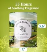 CHAMBERY Spring Blossom Candle | Floral Aroma | Perfect for Mother's Day | Soy Wax, 55-Hour Burn - Image 2