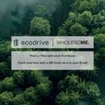 Wholesome Warm Woods Scented Candles - 100% Natural Coconut Wax, 90-Hour Burn, Vegan Eco-Friendly 16 oz Jar - Image 8