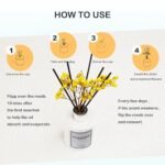 Ryanner Reed Diffuser Set - 5.1 fl oz Sea Salt & Sage Fragrance for Home, Bathroom & Office Decor - Image 4