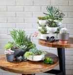 The HC Companies 8-inch Round Plastic Capri Bowl in Faux Concrete – Perfect for Succulents! - Image 2