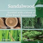 Handcrafted Hemlock Park Sandalwood Candle with Natural Coconut Wax & Crackling Wood Wick – 8 oz - Image 2