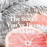 Yankee Candle White Spruce & Grapefruit, 22oz Large Jar, 150-Hour Burn Time – Perfect Gift! - Image 2