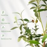 LuceAlberi 6FT Faux Olive Tree with Planter - Realistic Indoor Olive Plant for Home & Office Decor - Image 5