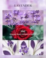 M&SENSE Lavender Candles, Vegan Soy, 8.1oz, 42-Hour Burn - Relaxing Aromatherapy for Sleep & Gifts. - Image 3