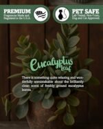 Eucalyptus Leaf Premium Tealight Candles - 6 Highly Scented, Natural Oils USA-Made Green Tea Lights. - Image 5