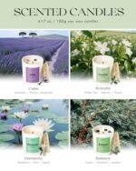 AOOVOO Calm Candles Set for Women - 4 Pack: Scented Aromatherapy Candles with Crystals, 200-Hour Burn. - Image 4