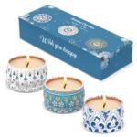Scented Candles Gift Set, 3 Pack Candles for Home Scented, Long Lasting Soy Wax Aromatherapy Candle Set, Gifts for Women with Gift Box, Baby Shower Prizes, Lemon.Lavender.Amber Musk