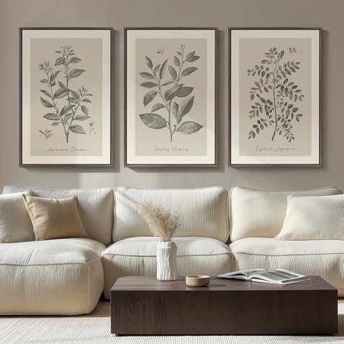 Large Framed Botanical Wall Art Set: 3 Neutral Plant Canvas Large Framed Botanical Wall Art for Living Room, 3 Piece Neutral Plant Canvas Painting Prints Artwork for Walls, Vintage Floral illustration Pictures for Farmhouse Bedroom Kitchen Wall Decor, 20x30