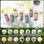 14pcs Essential Oils Set for Aromatherapy, Skin Care, Diffusers, Candles & Laundry – Tea Tree, Lavender & More (5mL) - Image 4