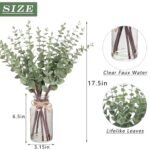 VIERENA 17.5" Eucalyptus Stems in Glass Vase with Faux Water - Ideal for Farmhouse Centerpiece Decor (Sage Green) - Image 6