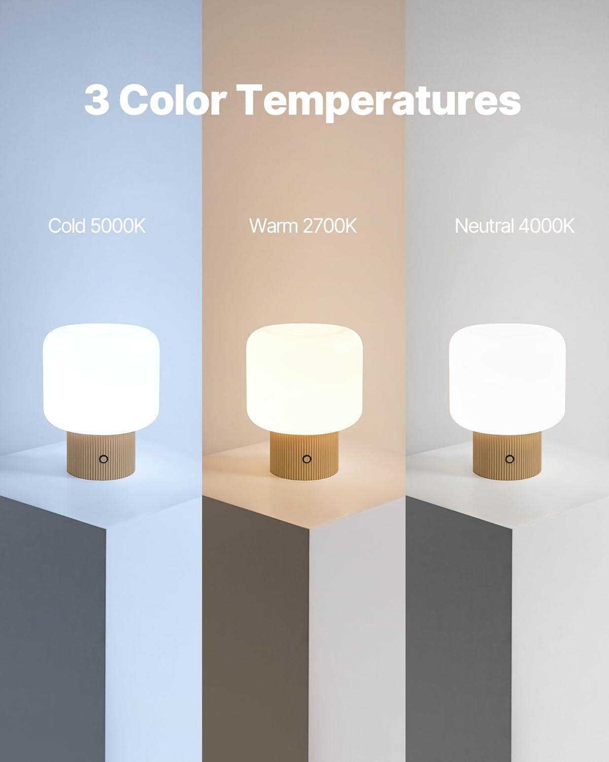 Lighting Up Our Space: Reviewing the Halo Mushroom Lamp's charm and features