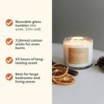 Calyan Wax Co. Golden Cider & Nutmeg 3 Wick Candle - 43 Hour Burn, Luxury Non-Toxic Soy Wax, 14.9oz - Image 5