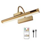 LYTARA Dimmable Cordless Picture Light with Controller and Timer, Rechargeable 5000mAh Battery Wall Sconce for Wall Pictures, Gallery Artwork, Paintings, Portraits, Dartboards (Gold)