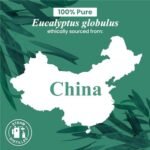 Handcraft Blends Eucalyptus Essential Oil - 4 Fl Oz - 100% Pure for Diffusers, Aromatherapy, Skin Care, Massage, and Soap Making. - Image 8