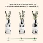 Clesh Eucalyptus Reed Diffuser Set, 6.7 oz for Home Fragrance & Bathroom Shelf Decor - Image 5