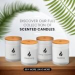Natur IX Clean Scented Candles: Sage & Palo Santo | Non-Toxic Soy | 50-Hour Burn | Energy & Balance Blend - Image 7