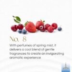 Gonesh Classic Collection No. 8: Non-Toxic 10" Slow Burn Light Fruit & Floral Aromatic Incense Sticks - 100 Pack - Image 2