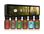 P&J Trading - Woodland Set of Scented Oils - Cedar, Warm Rustic Woods, Moss, Redwood Forest, Mountain Air, Evergreen Forest Fragrance Oils for Candle Making, Soap Making, Diffuser Oils