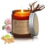 Candles for Home Scented, Aromatherapy Jar Candle Gifts for Women, Natural Soy Wax Amber Candle Set, Scented Candles Set for Birthday Valentine Mother's Christmas Day Present