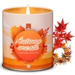 Vanilla Cinnamon Fall Candles for Home Scented Natural Soy Wax Non Toxic Birthday Candles Scented Candle 40 Hours Bruning 9oz Aromatherapy Candle Gifts for Women Halloween Thanksgiving Christmas
