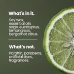 Natur IX Clean Scented Candles: Sage & Palo Santo | Non-Toxic Soy | 50-Hour Burn | Energy & Balance Blend - Image 4