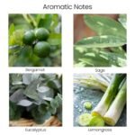 Natur IX Clean Scented Candles: Sage & Palo Santo | Non-Toxic Soy | 50-Hour Burn | Energy & Balance Blend - Image 3