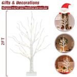 PEIDUO 2FT Birch Tree with LED Warm White Fairy Lights - Battery-Powered Christmas Tabletop Decoration - Image 2