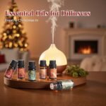 Christmas Essential Oil Set | 6 Holiday Fragrance Oils for Diffusers & Candles | Aromatherapy Gift - Image 5