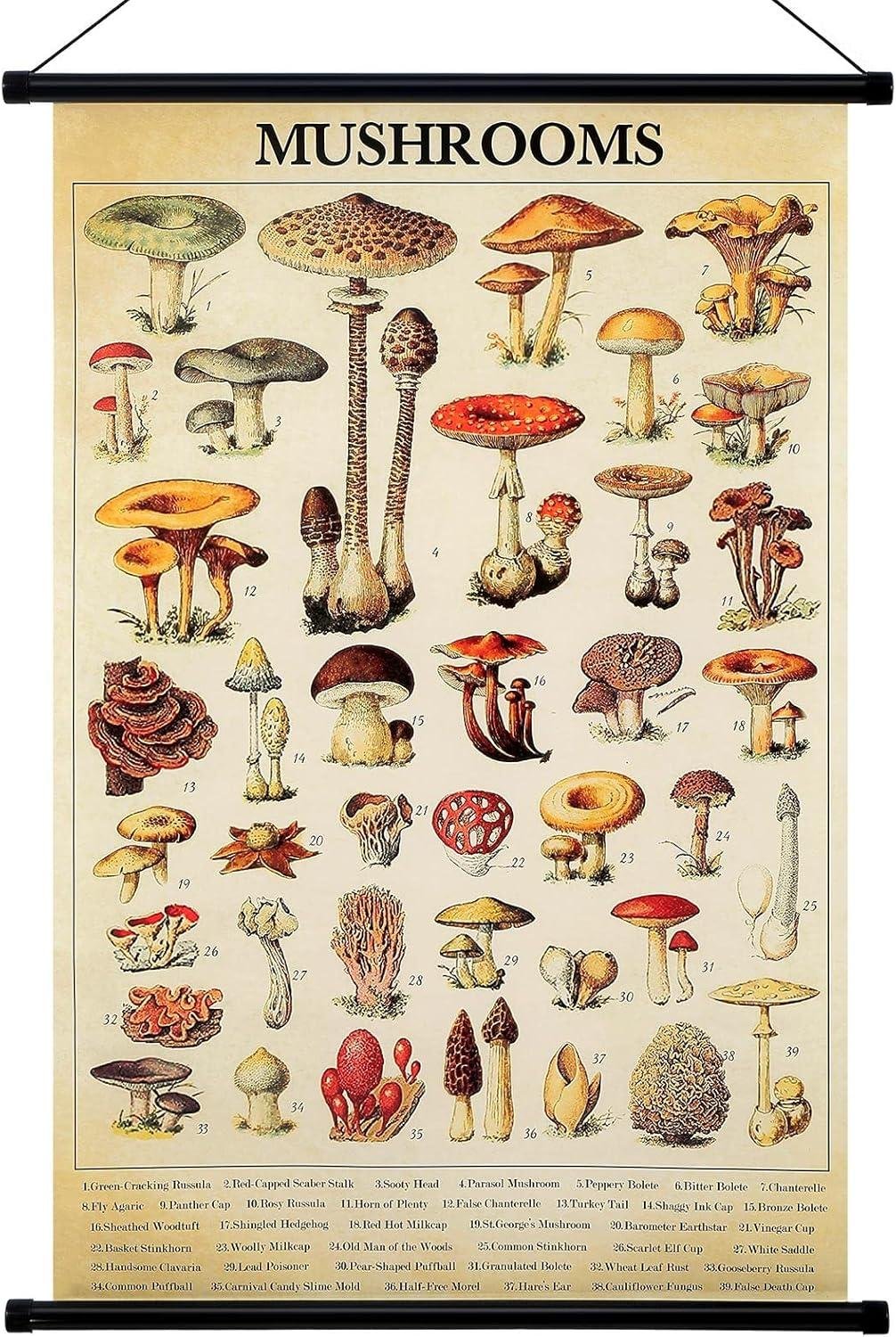 our Review: Vintage Mushroom Tapestry Brings Rustic Charm