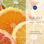 Capri Blue Volcano Travel Tin Candle - Luxurious Soy Wax, Tropical Fruity Scent, 8.5 oz - Image 4