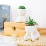 Der Rose 2-Pack Artificial Succulent Plants for Living Room, Bathroom, and Office Decor - Image 7