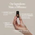 Cliganic Organic Essential Oils Set (Top 5 Classics) - 100% Pure & Natural - Aromatherapy & Candle Making: Peppermint, Lavender, Eucalyptus, Lemongrass, & Orange. - Image 9