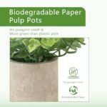 ALAGIRLS 4-Pack Small Fake Plants: 10" Eucalyptus, Rosemary, Succulents in Pulp Pots for Home Decor. - Image 4