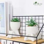 Der Rose 2-Pack Artificial Succulent Plants for Living Room, Bathroom, and Office Decor - Image 6