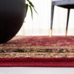 SAFAVIEH 6x9 Area Rug - Lyndhurst Collection, Red & Black, Traditional, Non-Shedding, Easy Clean, Perfect for Living Room, Bedroom, Dining Room (LNH331B) - Image 5