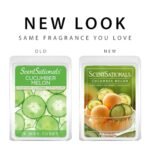 Scentsationals Cucumber Melon Wax Melts - Long-Lasting Scented Wax Cubes for Warmers, 10 oz (24 Cubes) - Image 4