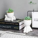 Der Rose 2-Pack Artificial Succulent Plants for Living Room, Bathroom, and Office Decor - Image 4