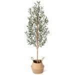 Faux Olive Tree 6FT – Tall Artificial Plants Indoor with Real Wood Trunk & Seagrass Basket, Lifelike Silk Leaves & Fruits – Potted Large Fake Trees for Home, Living Room, Bedroom & Office Decor