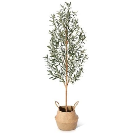 Faux Olive Tree 6FT – Tall Artificial Plants Indoor with Real Wood Trunk & Seagrass Basket, Lifelike Silk Leaves & Fruits – Potted Large Fake Trees for Home, Living Room, Bedroom & Office Decor
