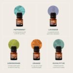 Cliganic Organic Essential Oils Set (Top 5 Classics) - 100% Pure & Natural - Aromatherapy & Candle Making: Peppermint, Lavender, Eucalyptus, Lemongrass, & Orange. - Image 3